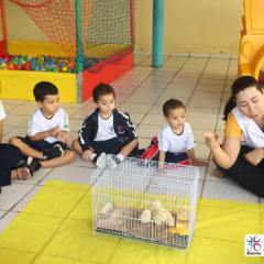 2025-educacao-infantil-colegio-jesus-de-nazare-1
