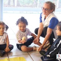 2025-educacao-infantil-colegio-jesus-de-nazare-10