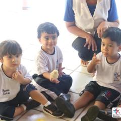 2025-educacao-infantil-colegio-jesus-de-nazare-12