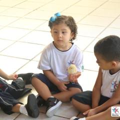 2025-educacao-infantil-colegio-jesus-de-nazare-14