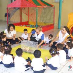2025-educacao-infantil-colegio-jesus-de-nazare-16