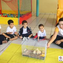 2025-educacao-infantil-colegio-jesus-de-nazare-2