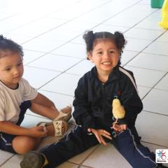 2025-educacao-infantil-colegio-jesus-de-nazare-27