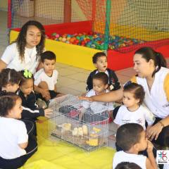 2025-educacao-infantil-colegio-jesus-de-nazare-29