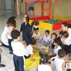 2025-educacao-infantil-colegio-jesus-de-nazare-31