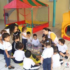 2025-educacao-infantil-colegio-jesus-de-nazare-33
