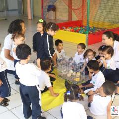 2025-educacao-infantil-colegio-jesus-de-nazare-34