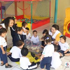2025-educacao-infantil-colegio-jesus-de-nazare-35