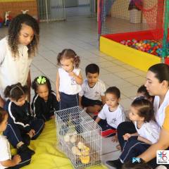 2025-educacao-infantil-colegio-jesus-de-nazare-37