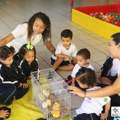 2025-educacao-infantil-colegio-jesus-de-nazare-38