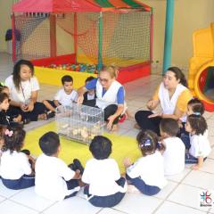 2025-educacao-infantil-colegio-jesus-de-nazare-4
