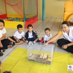 2025-educacao-infantil-colegio-jesus-de-nazare-5