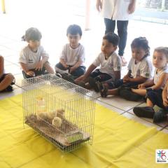 2025-educacao-infantil-colegio-jesus-de-nazare-6