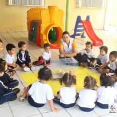 2025-educacao-infantil-colegio-jesus-de-nazare-8