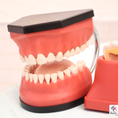 2024-dentista-ed-infantil-cjn-5