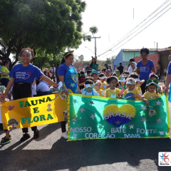 2024-desfile-7-setembro-ed-infantil-cjn-5