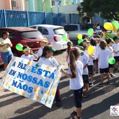 2023-ind-brasil-cjn-12