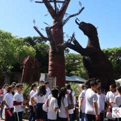 2025-passeio-fund-2-colegio-jesus-de-nazare-teresina-55