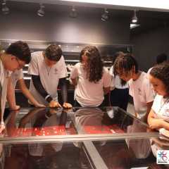 2025-passeio-fund-2-colegio-jesus-de-nazare-teresina-76