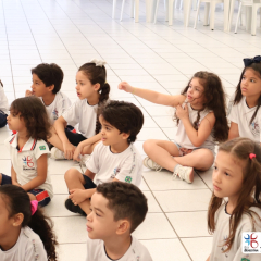 2024-historia-gatinho-cjn-3