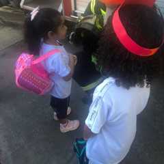 cjn-redebeneditina-113