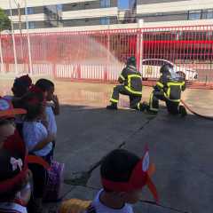 cjn-redebeneditina-142