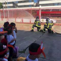 cjn-redebeneditina-145