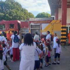 cjn-redebeneditina-81