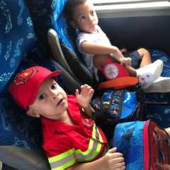 cjn-redebeneditina-9