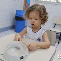 2026-maternal-1-colegio-jesus-de-nazare-teresina-pi-11