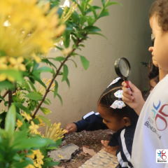 2025-ed-infantil-cjn-17
