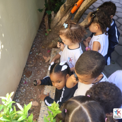 2025-ed-infantil-cjn-18