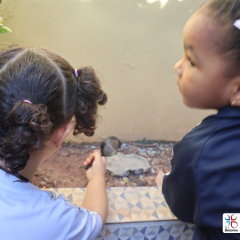 2025-ed-infantil-cjn-19