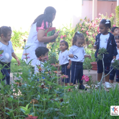 2025-ed-infantil-cjn-20