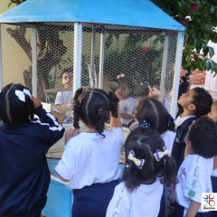2025-ed-infantil-cjn-24