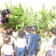 2025-ed-infantil-cjn-6