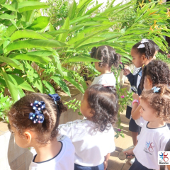 2025-ed-infantil-cjn-7