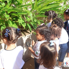 2025-ed-infantil-cjn-8