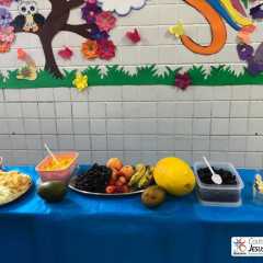 cjn-redebeneditina-24