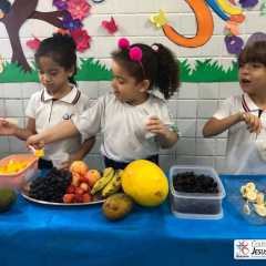 cjn-redebeneditina-27