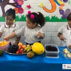 cjn-redebeneditina-28