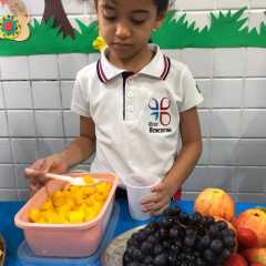 cjn-redebeneditina-5