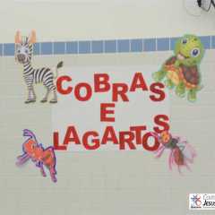 KODAK Digital Still Camera