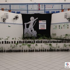 2023-plantas-cjn-1