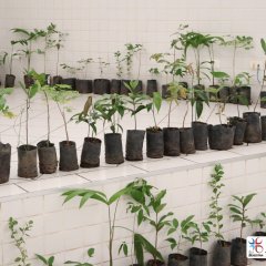 2023-plantas-cjn-4