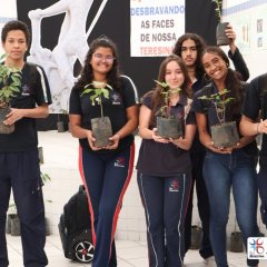 2023-plantas-cjn-52