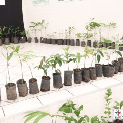 2023-plantas-cjn-7