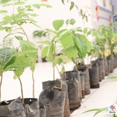 2023-plantas-cjn-9