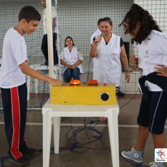 2024-volta-aulas-5ano-cjn-12