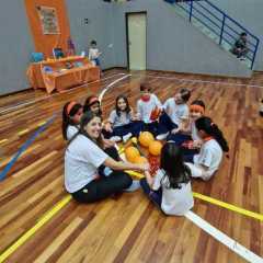 2026-robotica-instituto-sagrada-familia-santo-andre-sp-29